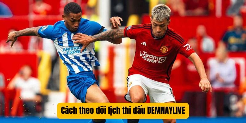 Cách theo dõi lịch thi đấu DEMNAYLIVE