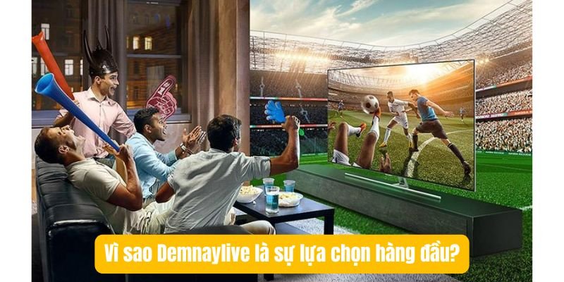 Vì sao Demnaylive là sự lựa chọn hàng đầu?