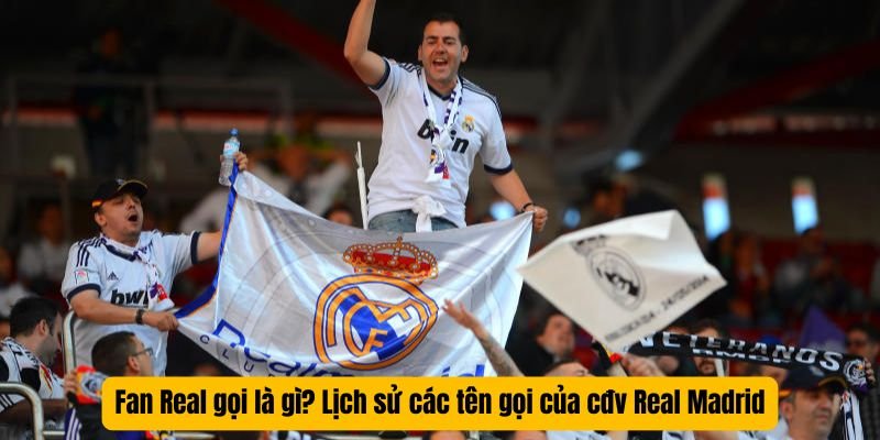 Fan Real gọi là gì? Lịch sử các tên gọi của cđv Real Madrid