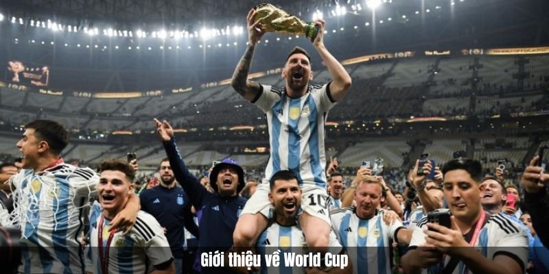 Giới thiệu về World Cup