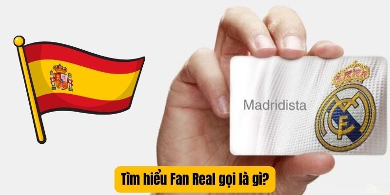 Tìm hiểu Fan Real gọi là gì?