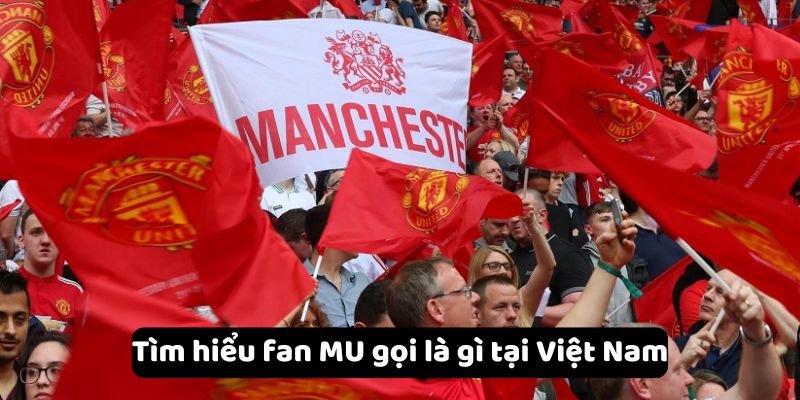 Tìm hiểu fan MU gọi là gì tại Việt Nam